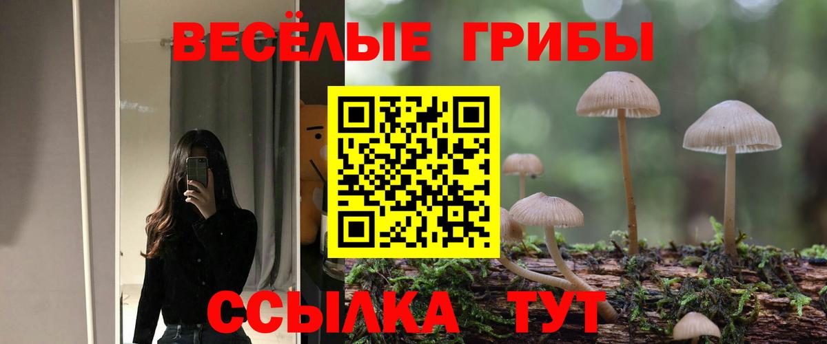 Орехово-Зуево  Галлюциногенные грибы GOLDEN TEACHER  Вход с VPN 